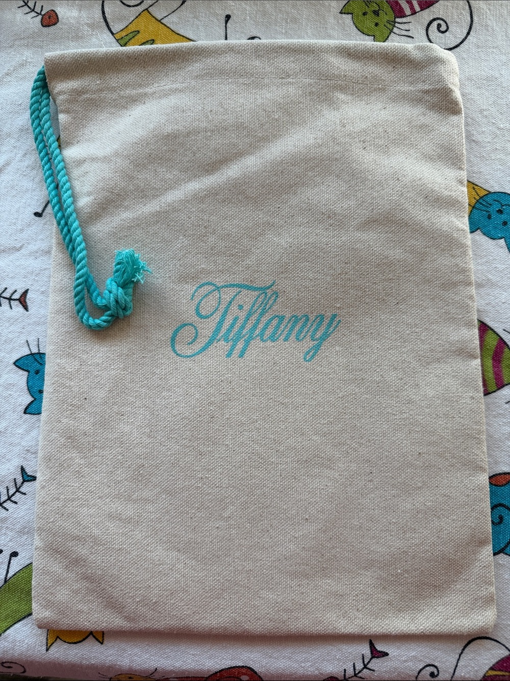 🩵 TIFFANY & CO. DRAWSTRING POUCH 🩵  NWOT 🩵
